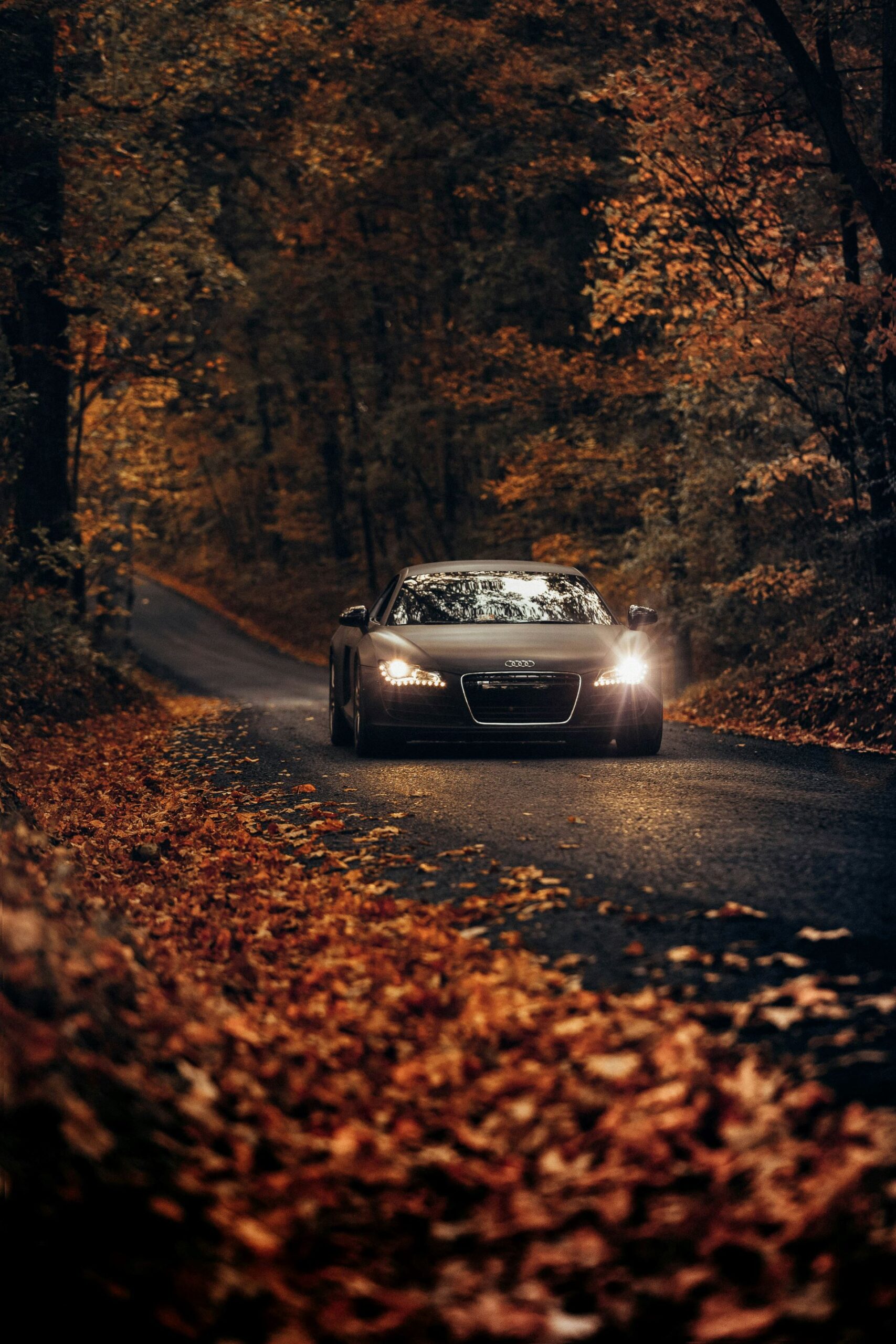 Audi R8 fährt durch einen herbstlichen Wald