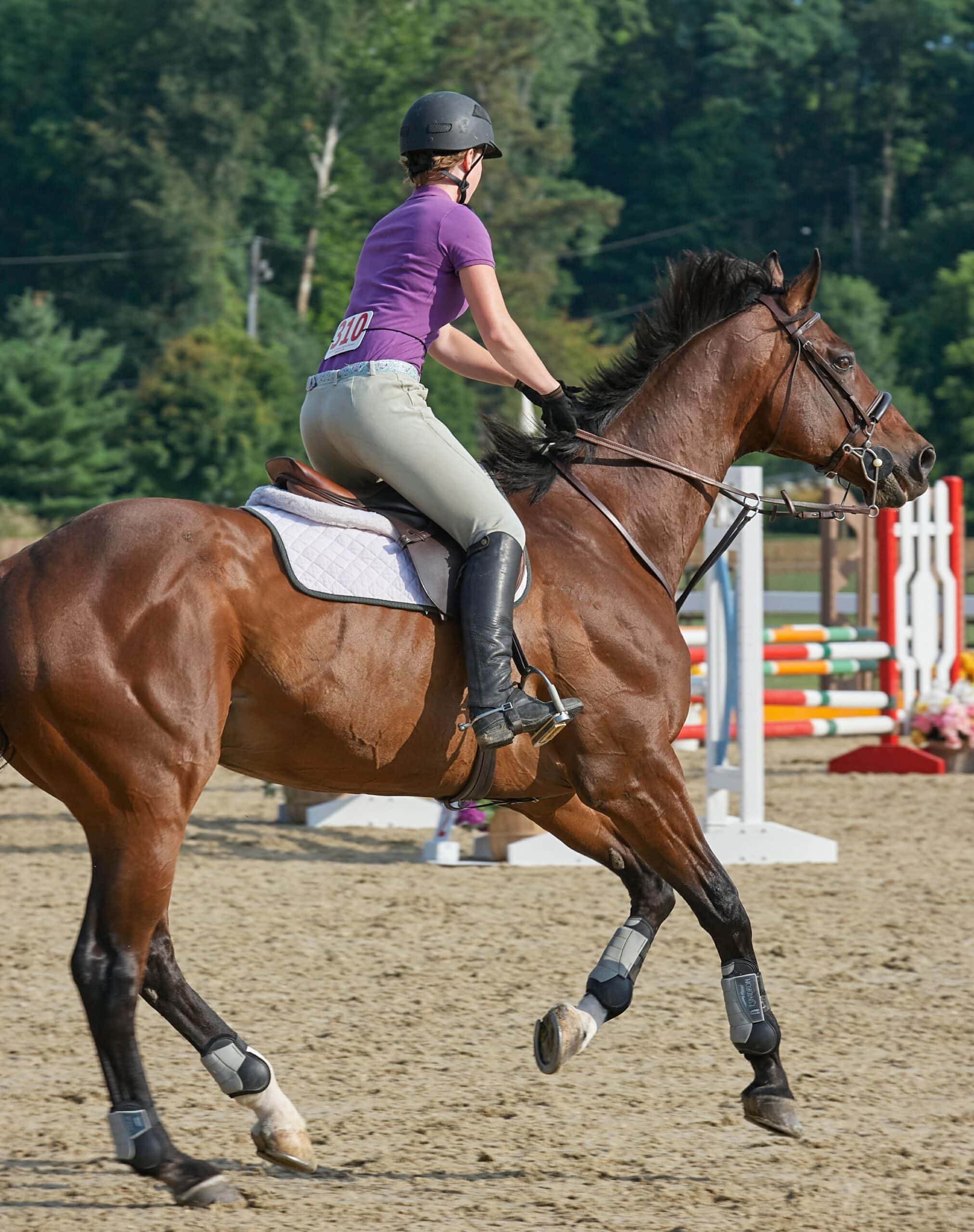 A rider on a jumper horse