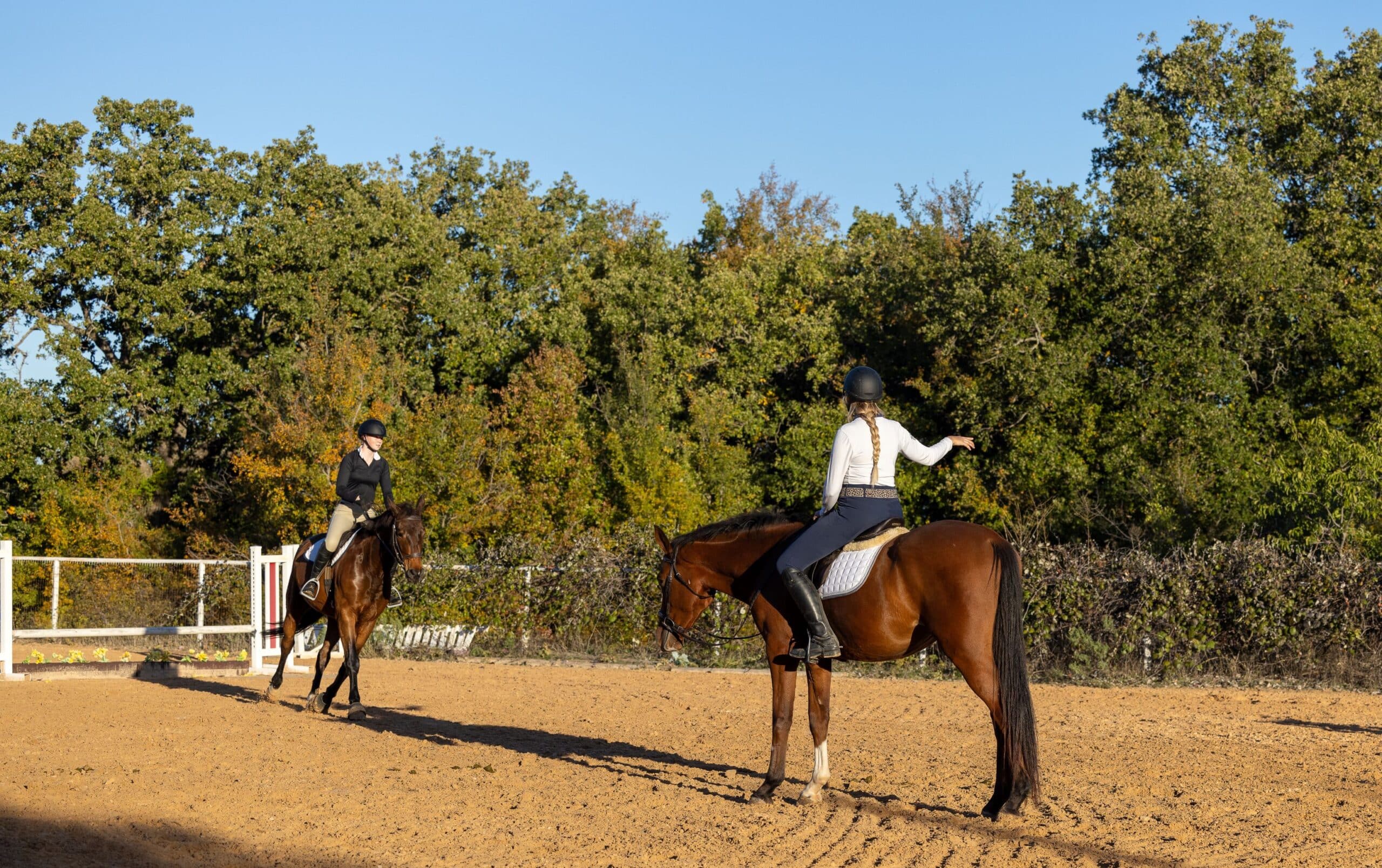 A rider and trainer on their jumper horses