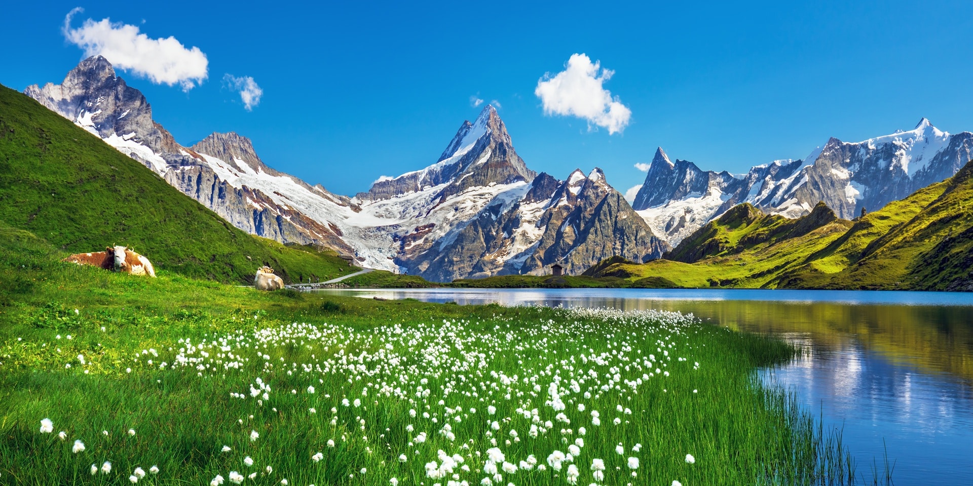 Bergsee mit alpiner Blütenpracht, Almhütte-Traum