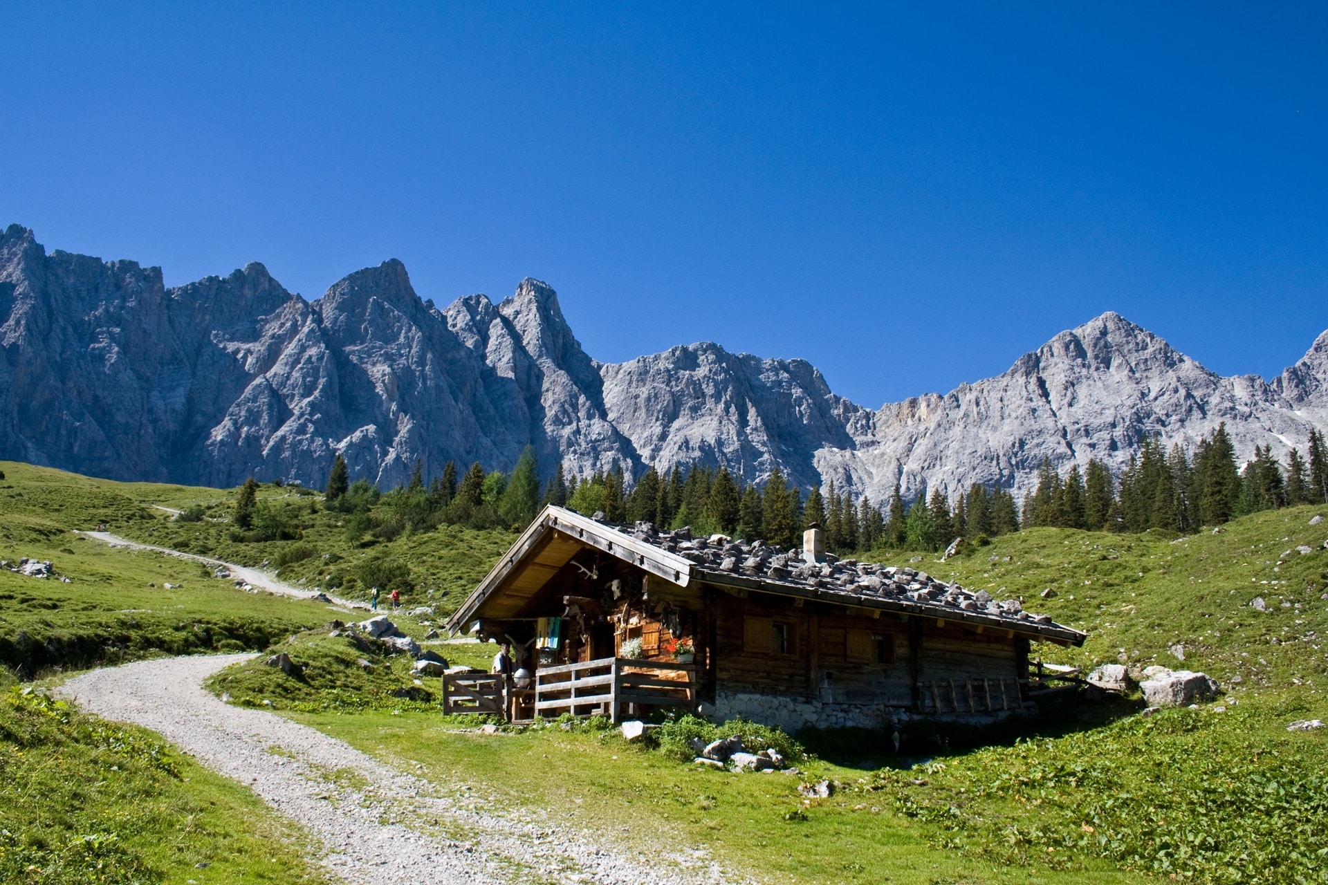 Ursprüngliche Almhütte aus Holz vor steiler Bergwand