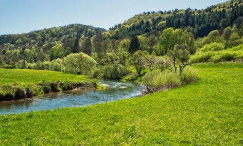 Zeit zum Atmen – Warum kleine Auszeiten große Wirkung haben